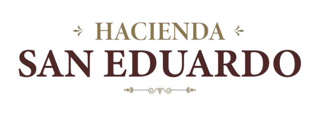 logo-desarrollo